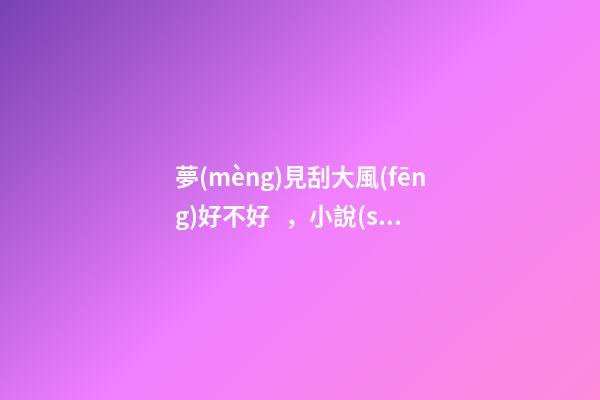 夢(mèng)見刮大風(fēng)好不好，小說(shuō)數(shù)萬(wàn)士兵操練-第1張-觀點(diǎn)-玄機(jī)派